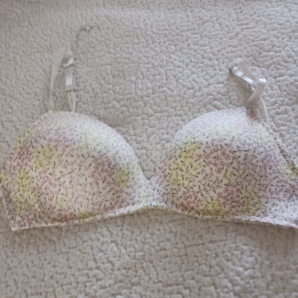 Jessica Simpson bra